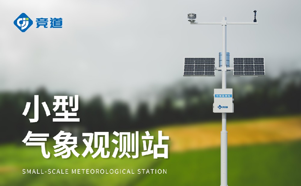 С���Զ�����վ