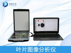 叶片图像是如何分析的？？？？？？？