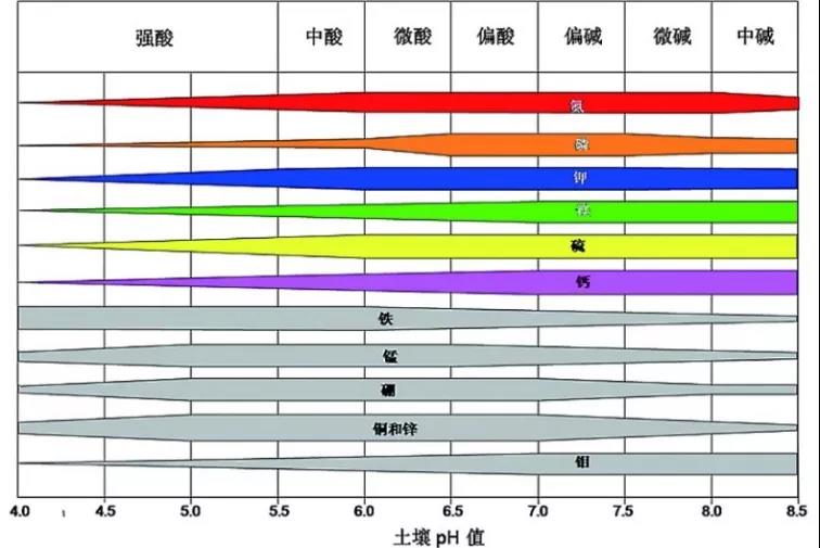 土壤PH速测仪，，，，，，，，快速测PH